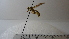  ( - Vesp-0128)  @12 [ ] Copyright  Unspecified Unspecified