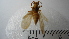  ( - Vesp-0220)  @11 [ ] Copyright  Unspecified Unspecified