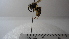  ( - Vesp-0275)  @11 [ ] Copyright  Unspecified Unspecified