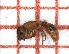  ( - LPC19-TEM40-002)  @11 [ ] Laboratory of Zoology (2020) Casacci, Luca Pietro Department of Life Sciences and Systems Biology, University of Turin