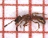  ( - LPC19-TEM69-1)  @11 [ ] Laboratory of Zoology (2020) Casacci, Luca Pietro Department of Life Sciences and Systems Biology, University of Turin