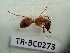  ( - TR-BC0273)  @11 [ ] Copyright (2022) Thibault Ramage Research Collection of Thibault Ramage