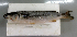  ( - TTVT_W21)  @11 [ ] CreativeCommons - Attribution Non-Commercial Share-Alike (2015) Tran Thi Viet Thanh Vietnam National Museum of Nature