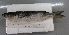  ( - TTVT_W22)  @11 [ ] CreativeCommons - Attribution Non-Commercial Share-Alike (2015) Tran Thi Viet Thanh Vietnam National Museum of Nature