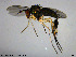  ( - NO156)  @11 [ ] Creative Commons  Attribution Non-Commercial Share-Alike (2021) NTNU University Museum, Department of Natural History NTNU University Museum, Department of Natural History