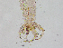  ( - MN812829)  @11 [ ] CreativeCommons - Attribution Share-Alike (2020) Kniha Edwin Medical University of Vienna