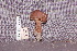  ( - TRTC157241)  @11 [ ] CreativeCommons - Attribution Non-Commercial Share-Alike (2010) Unspecified Royal Ontario Museum