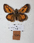  ( - Naderi2023-020)  @11 [ ] Copyright (2023) Alireza Naderi Unspecified
