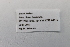 ( - 24GEN006)  @11 [ ] Copyright (2024) Michael Seizmair Unspecified