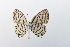  ( - 24GEN006)  @11 [ ] Copyright (2024) Michael Seizmair Unspecified