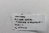  ( - 24GEN007)  @11 [ ] Copyright (2024) Michael Seizmair Unspecified