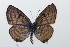  ( - 24GEN007)  @11 [ ] Copyright (2024) Michael Seizmair Unspecified