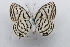  ( - 24GEN007)  @11 [ ] Copyright (2024) Michael Seizmair Unspecified