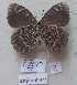  ( - AF-VN11)  @11 [ ] Copyright (2023) Alessandro Floriani Unspecified
