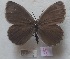  ( - AF-VN13)  @11 [ ] Copyright (2023) Alessandro Floriani Unspecified