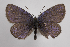  ( - JPages002)  @11 [ ] copyright (2022) Jerome Pages Unspecified