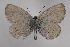  ( - JPages002)  @11 [ ] copyright (2022) Jerome Pages Unspecified
