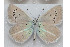  ( - DNAfcaAgr 001)  @12 [ ] Copyright (2013) Frederic Carbonell Unspecified