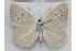  ( - DNAfcaAgr 002)  @12 [ ] Copyright (2013) Frederic Carbonell Unspecified