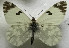  ( - DNAwback021)  @11 [ ] copyright (2023) Werner Back Unspecified