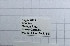  ( - DNAwback021)  @11 [ ] copyright (2023) Werner Back Unspecified