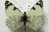  ( - DNAwback022)  @11 [ ] copyright (2023) Werner Back Unspecified