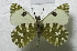  ( - DNAwback022)  @11 [ ] copyright (2023) Werner Back Unspecified