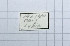  ( - DNAwback023)  @11 [ ] copyright (2023) Werner Back Unspecified