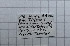  ( - DNAwback024)  @11 [ ] copyright (2023) Werner Back Unspecified