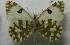  ( - DNAwback024)  @11 [ ] copyright (2023) Werner Back Unspecified