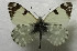  ( - DNAwback025)  @11 [ ] copyright (2023) Werner Back Unspecified