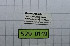  ( - DNAwback025)  @11 [ ] copyright (2023) Werner Back Unspecified