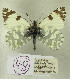  ( - DNAwback048)  @11 [ ] copyright (2023) Werner Back Unspecified