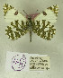  ( - DNAwback048)  @11 [ ] copyright (2023) Werner Back Unspecified