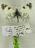  ( - DNAwback049)  @11 [ ] copyright (2023) Werner Back Unspecified