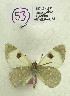  ( - DNAwback053)  @11 [ ] copyright (2023) Werner Back Unspecified