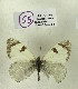  ( - DNAwback055)  @11 [ ] copyright (2023) Werner Back Unspecified