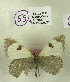  ( - DNAwback055)  @11 [ ] copyright (2023) Werner Back Unspecified