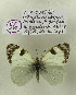  ( - DNAwback056)  @11 [ ] copyright (2023) Werner Back Unspecified