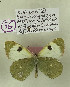 ( - DNAwback056)  @11 [ ] copyright (2023) Werner Back Unspecified
