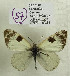  ( - DNAwback057)  @11 [ ] copyright (2023) Werner Back Unspecified
