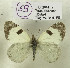  ( - DNAwback059)  @11 [ ] copyright (2023) Werner Back Unspecified