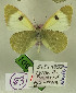  ( - DNAwback063)  @11 [ ] copyright (2023) Werner Back Unspecified