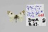 ( - DNAwback2023-08)  @11 [ ] Copyright (2023) Werner Back Unspecified