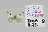  ( - DNAwback2023-08)  @11 [ ] Copyright (2023) Werner Back Unspecified