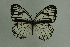  ( - DNAwthmel 284)  @13 [ ] Copyright (2009) Unspecified Unspecified