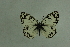  ( - DNAwthmel 286)  @11 [ ] Copyright (2009) Unspecified Unspecified