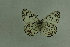  ( - DNAwthmel 286)  @11 [ ] Copyright (2009) Unspecified Unspecified