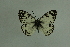  ( - DNAwthmel 287)  @13 [ ] Copyright (2009) Unspecified Unspecified