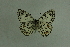  ( - DNAwthmel 287)  @13 [ ] Copyright (2009) Unspecified Unspecified